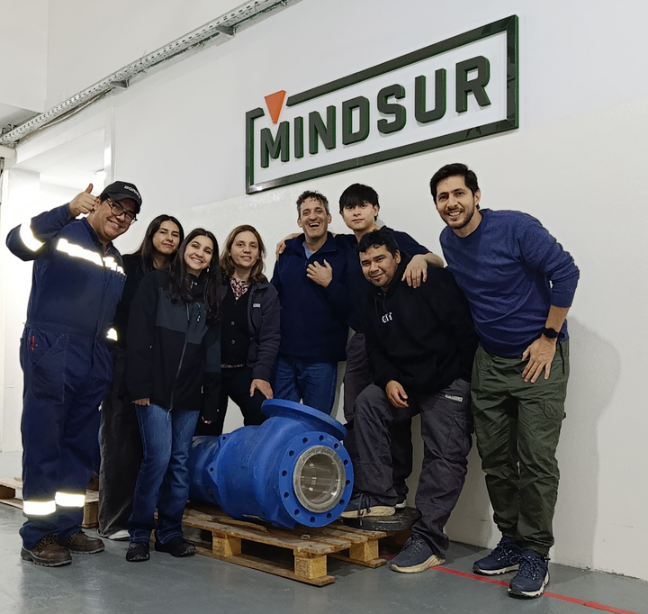 MINDSUR 